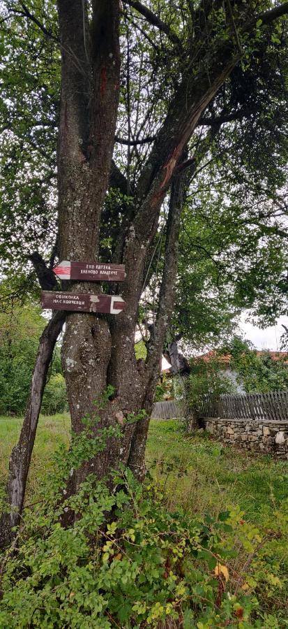 Старата Къща - Трявна Villa Eksteriør billede